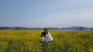 성주, 꽃바람 가득한 유채꽃밭 놀러오세요