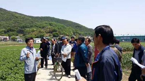 고령산 씨감자 중간 평가회 