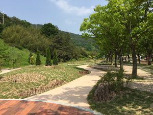 고령 관문 확 달라졌다