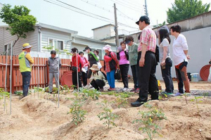 “도심 텃밭에서 농부 체험하세요”  ‘도시농부학교’남구 이천동 첫 선