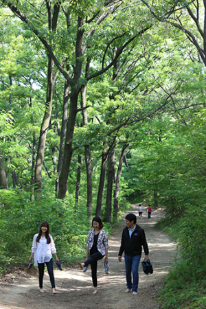 북구청, 자연+생태+문화로 ‘북구 어울숲길 만들기’