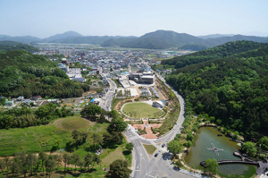 520년간 대가야국의 도읍지 고령군 대한민국 관광1번지를 꿈꾸다~