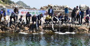 영덕, 해삼종묘 35만미 방류