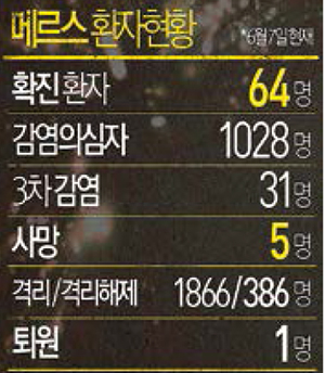 메르스 광풍… 대구·경북 대규모 축제 송두리째 앗아간다
