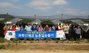 구미시, 농촌일손 돕기로 구슬땀