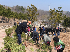 영덕군, 숲과 더불어 군민행복 산림행정 실천