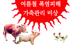 여름철 폭염 가축피해 사전에 예방합시다!