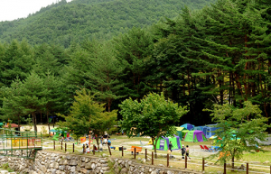 태백산국립공원 승격 사업 지역산업발전 해친다