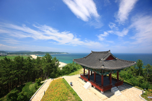 올 여름휴가는 울진바다와 계곡에서~