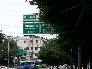 ‘이정표 가린 가로수’… 대형사고 우려까지