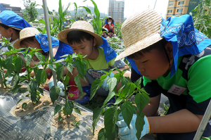 엄마! 저 농부가 되고 싶어요~