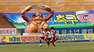 제3회 영덕대게배 국제 유소년축구대회 개최