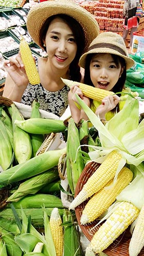 꿀맛 포항옥수수 맛 보세요