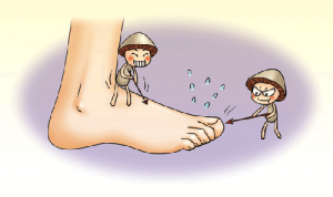 여름철 ‘습기병’ 조심 또 조심하세요