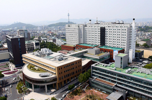 “잦은 기침, 객담, 호흡곤란 발생 시 의심…