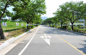 군위, 전 국민 태극기 달기 바람을 일으켜요
