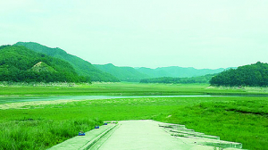 안동댐 상류권 전체 거대 풀밭