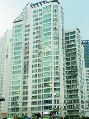 “올 광복절만큼은 태극기 세상 꿈꿨지만”…
