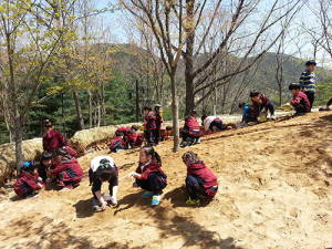 구미시, 산동 참 생태숲 다양한 변화 시도