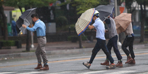 우산을 부여 잡고 바쁜걸음
