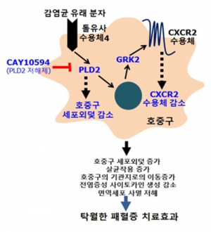 세계 첫 ‘패혈증치료제’ 탄생하나 