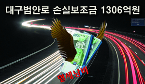 대구범안로 손실보조금 1306억원