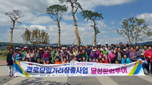 달성시니어클럽, 문화활동