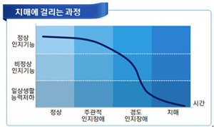 치매 전 단계 경도인지장애 환자 5년간 4.3배 증가 
