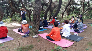 경주에서 힐링으로 몸과 마음을 치유 하세요