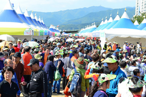 영주풍기인삼축제, “교통걱정하지 마세요”