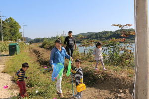 예천군, 국사골 메뚜기 축제