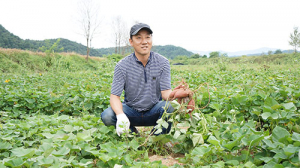 고구마로 6차산업 한 획 그었다