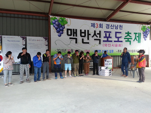 남천 맥반석 포도와 함께 가을 정취에 취하다