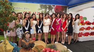 영주사과축제 “부석사 은행나무 단풍길과 함께해요”