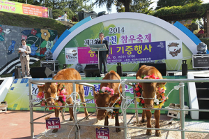 예천군, 제4회 예천 참우축제 15일 개최