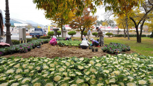 삭막한 도시… 아름다운 겨울 꽃으로 새 단장