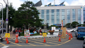 여론심판 자초하는 성주군