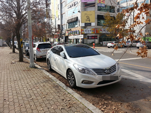 규정 있어도 더욱더 진해지는‘선팅’