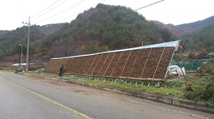 영양군 신암리 ‘약용작물 안전생산’ 사업 효과 좋아