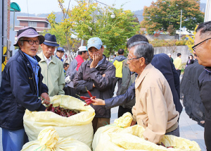 영양고추 차별화된 농업정책, 농민들 함박웃음
