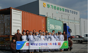 영주 풍기인삼, 세계를 향하다