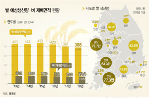 올해 쌀 생산량 387만5천톤 전망…38년 만에 최저