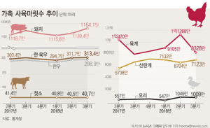 육류 소비 증가에…닭·돼지 사육 역대 최대 