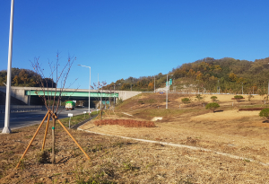 안동 수상동 한티교차로 도시숲 조성