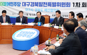 與 대구경북발전 특별위원회 출범