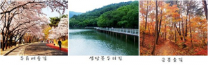 두류공원 ‘3色 힐링산책로’ 함께 걸어요! 