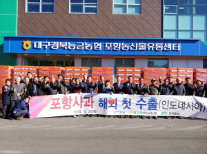 포항사과 첫 수출,“올해 50톤 수출예상”
