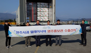 영주사과 수출 호조…말레이시아에서 ‘인기 농산물로 자리매김’