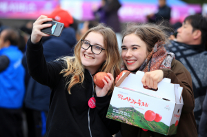 영주시, 2018영주사과축제 평가보고회 개최