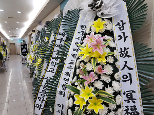대구예술대 갑질 횡포…교수 극단적 선택